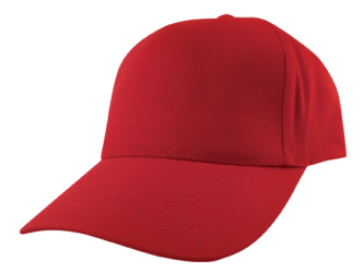 Baseball Cap (Embroidered)