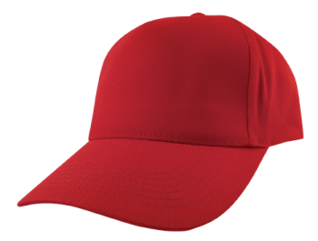 Baseball Cap (Embroidered)